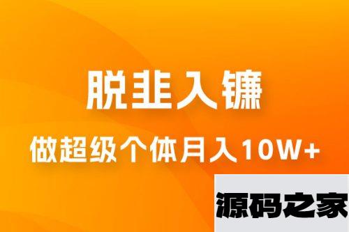 脱韭入镰，通过做「超级个体」月入 10w+，普通人实现阶层跨越的最优解